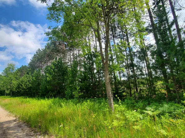 Beall Rd, Bear Lake, MI 49614