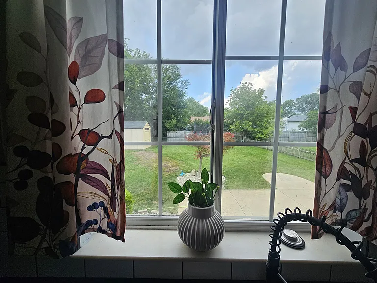 kitchen view to backyard