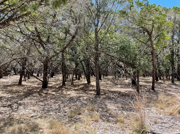 Lot 164 Addax Ct, Lampasas, TX 76550