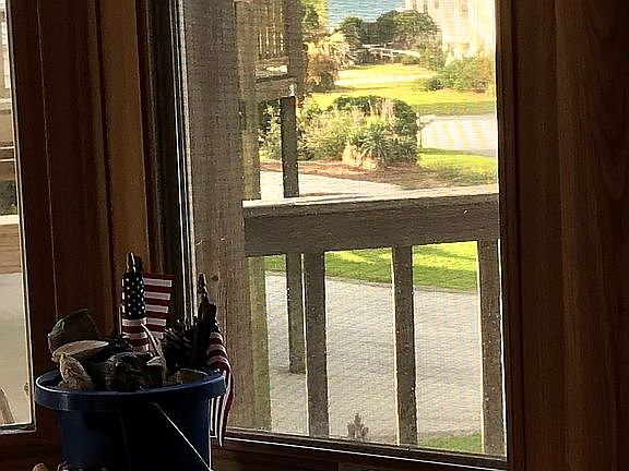 View from dining room