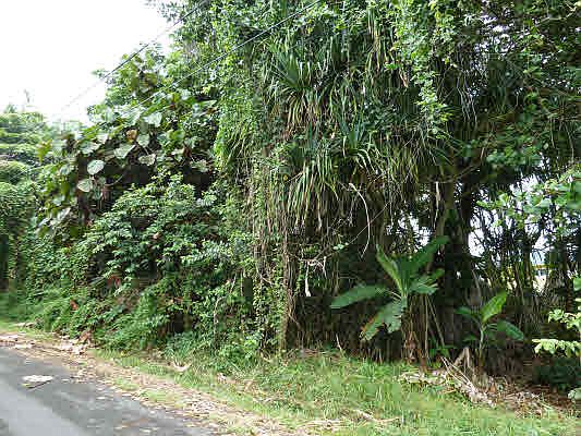 4th image of Kamakoa St Lot 25