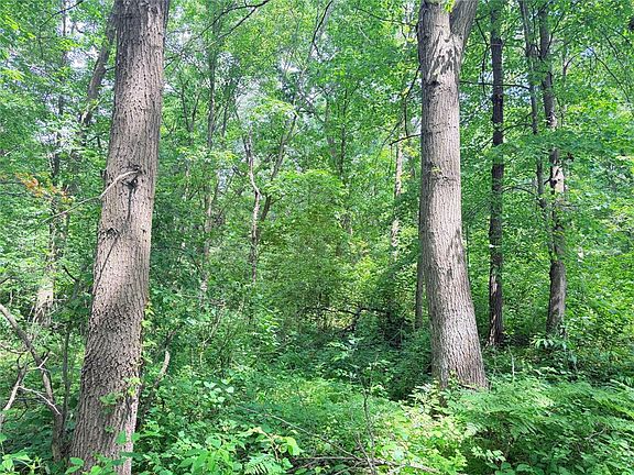 3rd image of 10 Acres Peterson Road