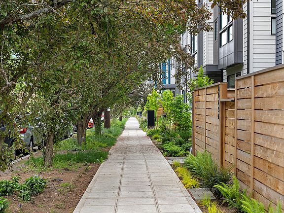 Tree lined streets.