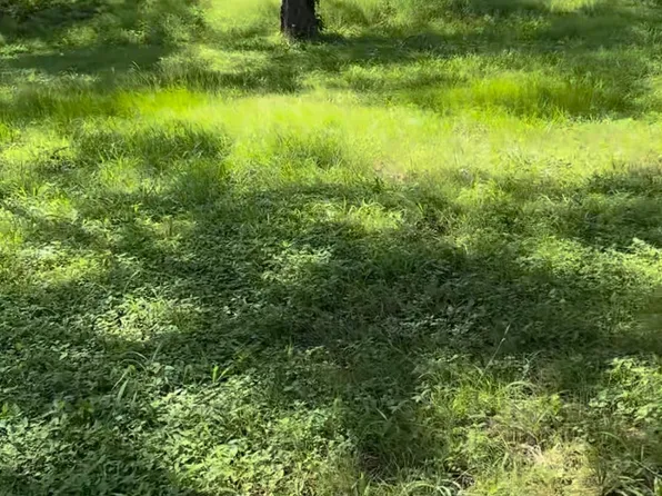 10002 Fm 969 Rd, Austin, TX 78724