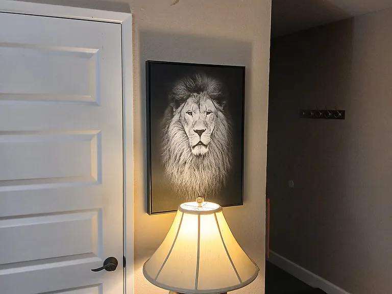 Elizabeth Ln — Photo 20