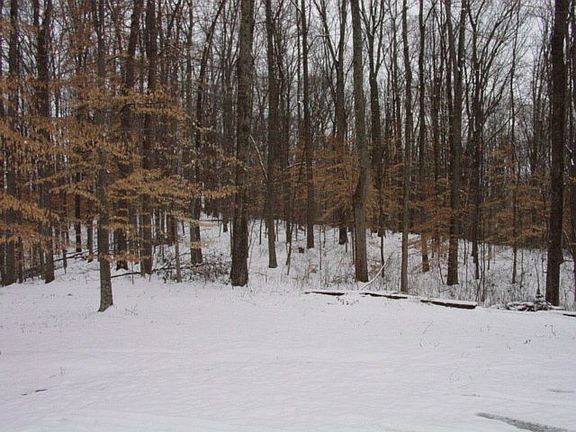 2nd image of 14336 Penny Ln