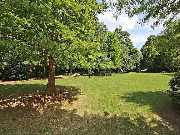 Park (dog and barbeque area