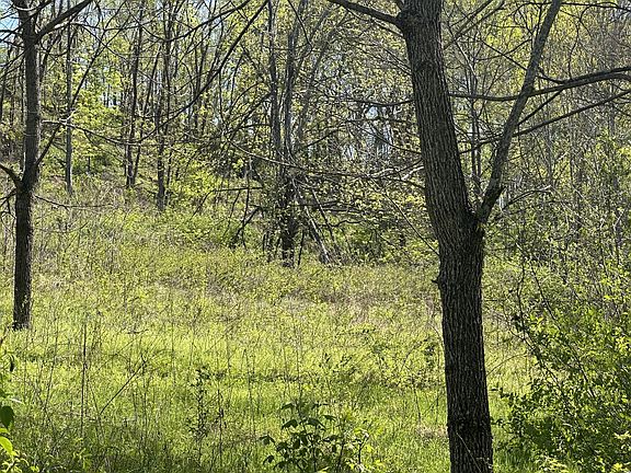 4th image of 1074A Kersey Hollow Rd