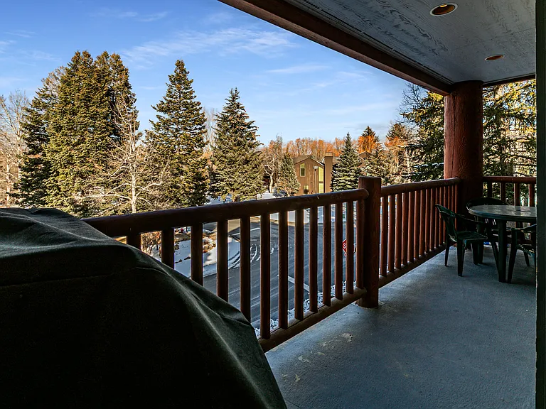 401 Silver King Dr #16 — Photo 12