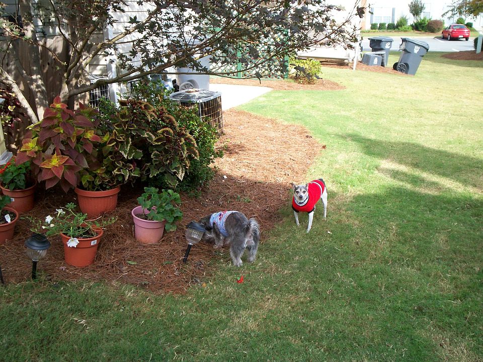 back Patio area