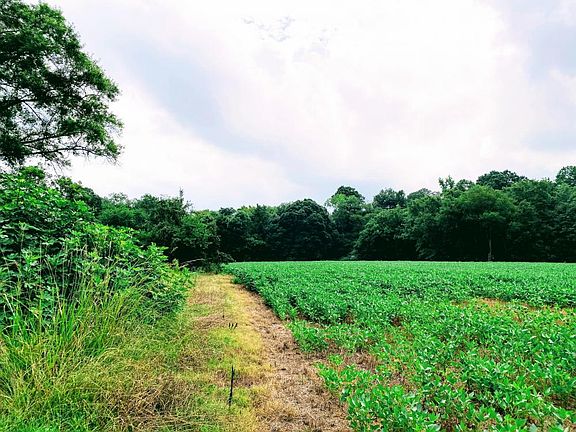 20+/- Acres of Row Crop, 6.7+/- Acres Wooded, 1.5 +/- Acre Home and Barn Site