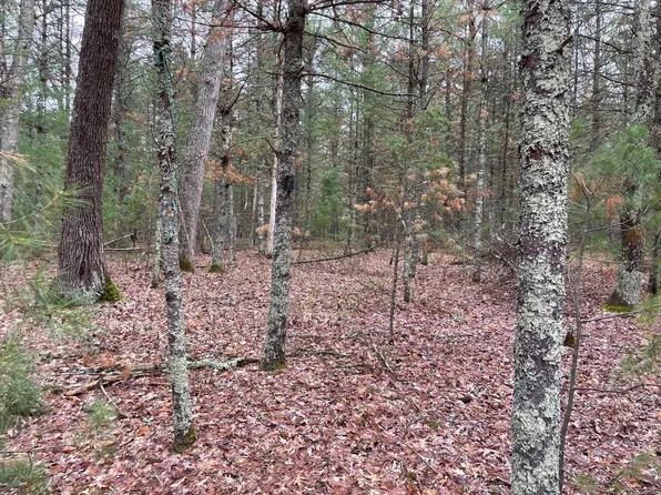 504 92nd St, Bitely, MI 49309