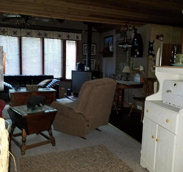 32407 W Arbutus Trek Trl, Eckerman, MI 49728 Zillow