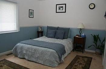 5th image of 2104 Monks Hollow Dr