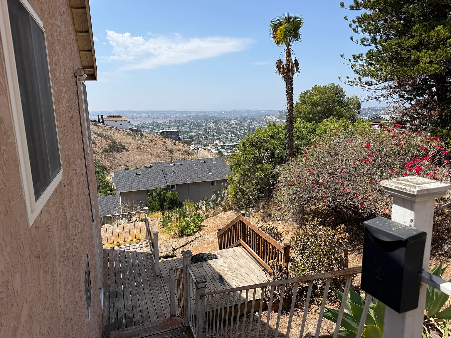 Eucalyptus A - 2 — Photo 4