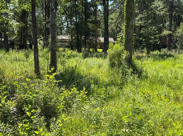 204 Dogwood Dr, Forest, MS 39074