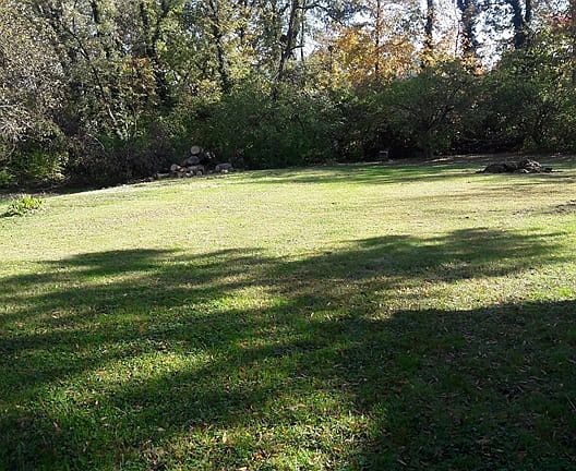 Tree-lined, huge & private! 