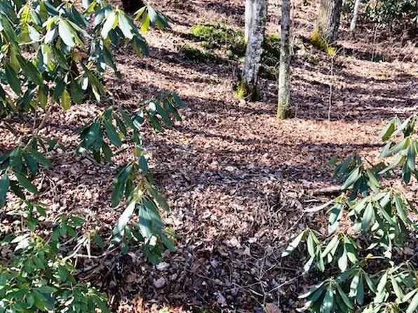 43 W Christy Trl, Sapphire, NC 28774