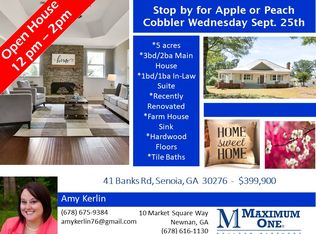 41 Banks Rd, Senoia, GA 30276