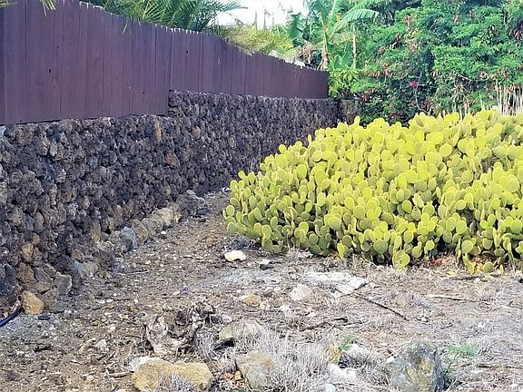 3rd image of 68-1753 Puu Nui St Lot 205