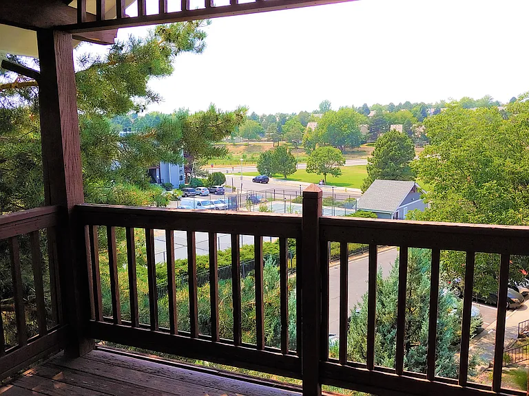 View of Park From Your Deck