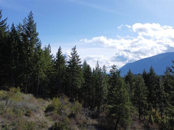 Nna Bootlegger Lane Stein Mtn, Bonners Ferry, ID 83805