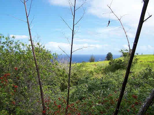 3rd image of Hoolaue St Lot 143