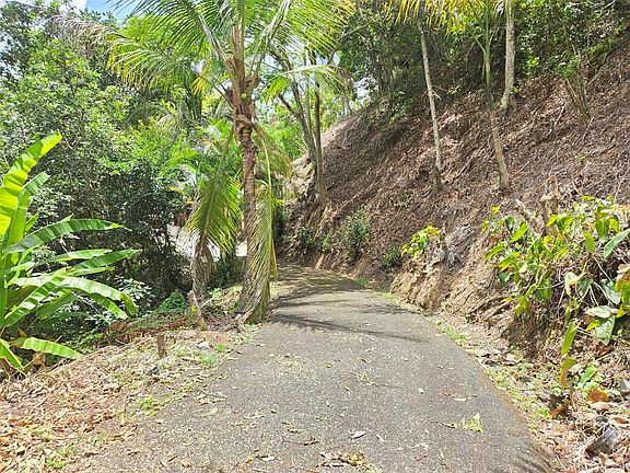 4th image of PR 156 KM. 23.9 RIO HONDO WARD