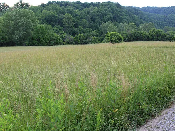 0 Key Hole Rd, Castlewood, VA 24224