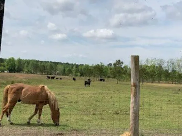 Moses Dingle Rd, Manning, SC 29102