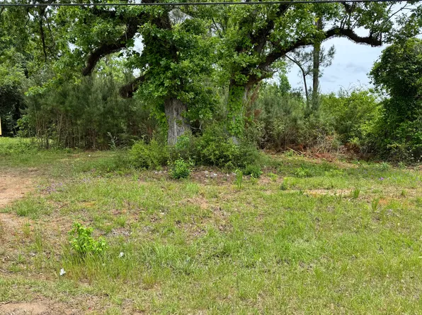 1436 Claxton Ave N, Elba, AL 36323