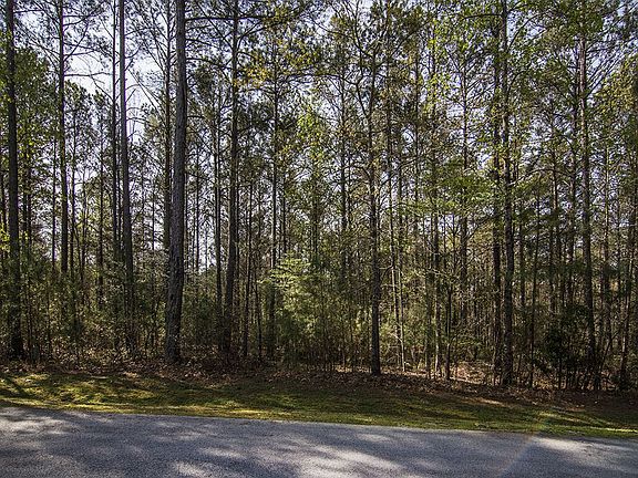 4th image of 1081 Oslin Pl