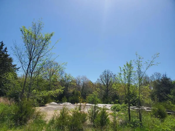 000 Cheek Lane, Long Lane, MO 65590