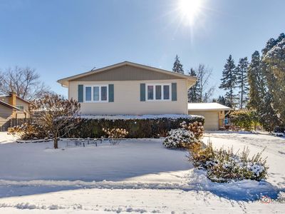 905 E Alder Ln, Mount Prospect, IL, 60056