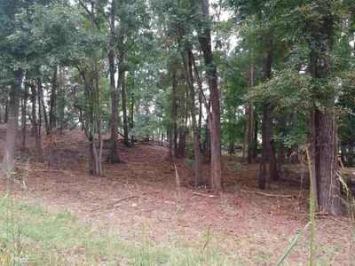 0 Flintside Dr LOT B-1, Cobb, GA, 31735