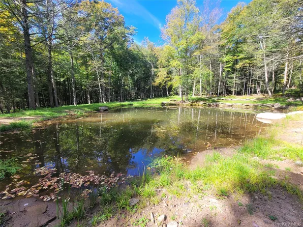 361 Ahrens Road, Parksville, NY 12768