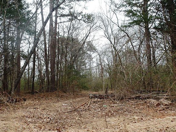 4th image of Mt Olive St