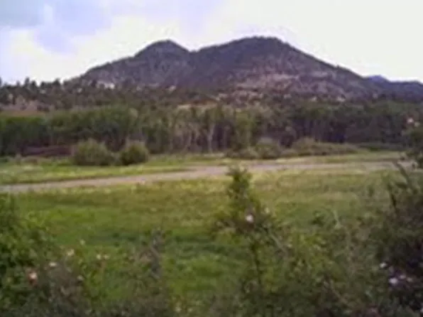 60 Iron Bridge Ct #T, South Fork, CO 81154