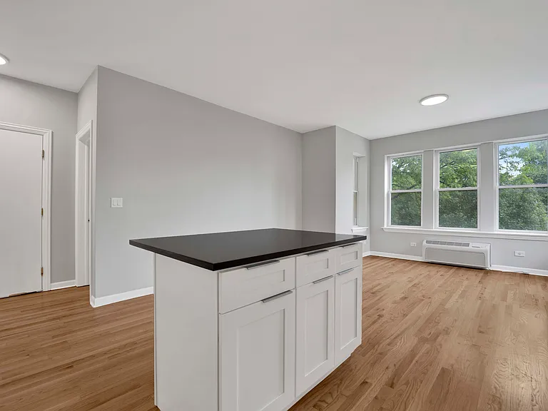 2456 N Hamlin Ave #2S — Photo 5