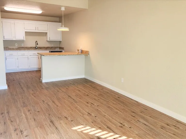 Welcome home. Overhead light in the living room controlled by Alexa. Waterproof lament (look of hardwood) floors throughout.