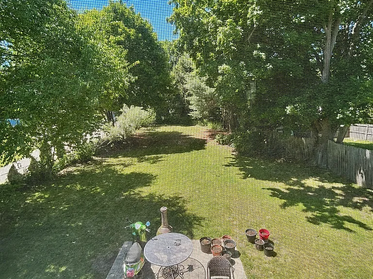 Large shared backyard