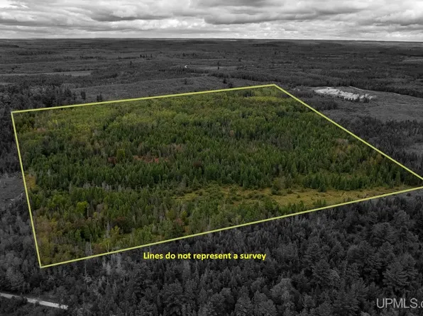 Murray 60 Rd, Perronville, MI 49873