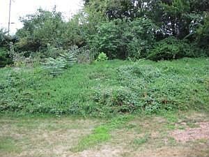 Secluded Back Yard