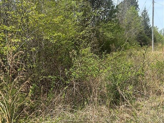 2nd image of 0 Blanchard Rd