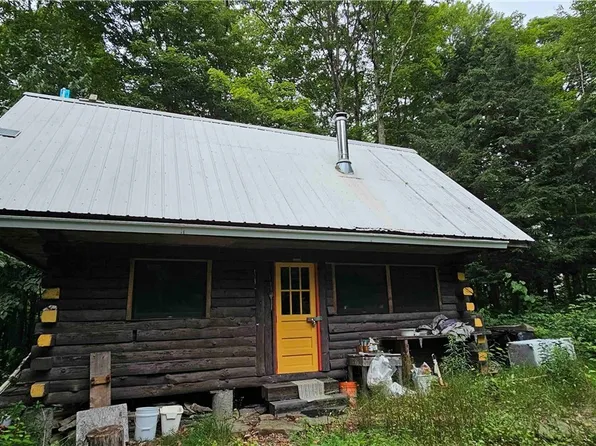 0 Downey Rd, Brooktondale, NY 14817