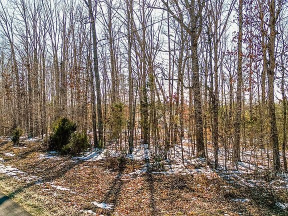 3rd image of LOT 6 Burton Rd