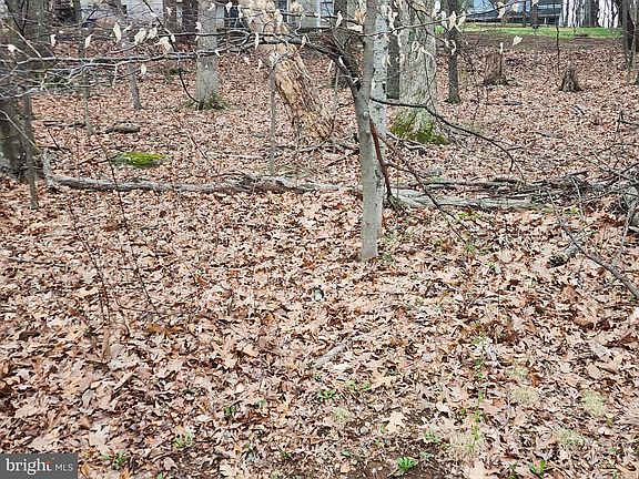 5th image of 25 Dove Trl