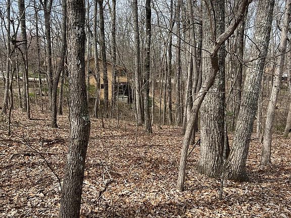 3rd image of 144 Anglewood Dr