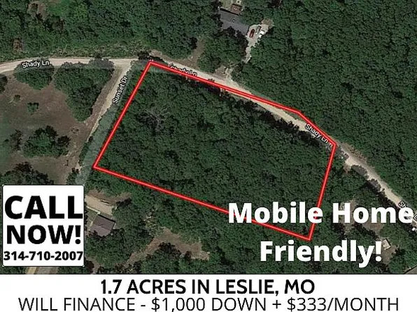 Shady Ln, Leslie, MO 63056