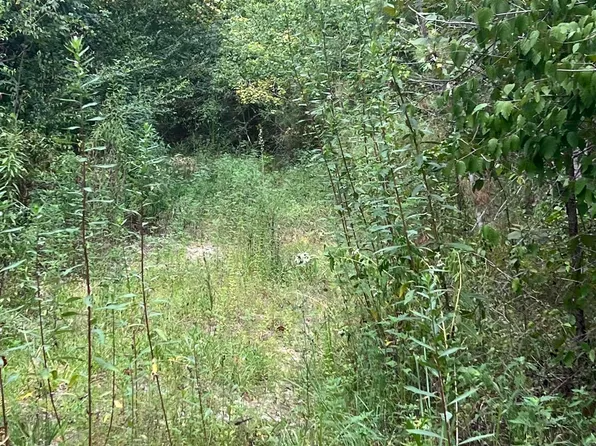 Lee Moore Rd, Starks, LA 70661